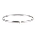 Selkirk 6 in. Stainless Steel Locking Band 206450